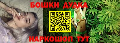 спиды Кингисепп
