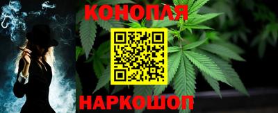 спиды Кингисепп