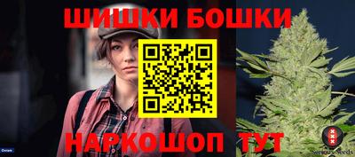 спиды Кингисепп