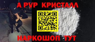 спиды Кингисепп