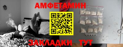 спиды Кингисепп
