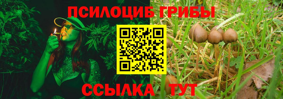 Галлюциногенные грибы Magic Shrooms  Вход с VPN  Юрга 