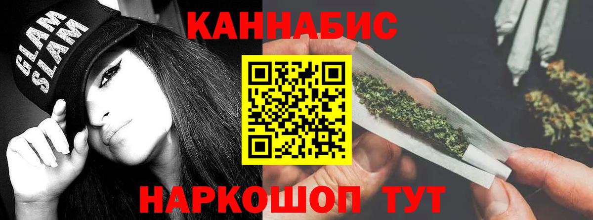 Бошки Шишки план Юрга